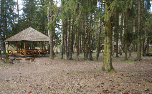 31_Gauštvinio ežero stovyklavietė. (2).jpg